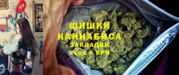 мдпв Волоколамск