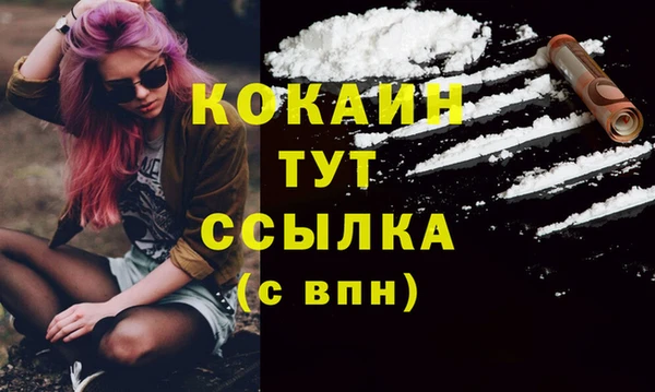 мдпв Волоколамск
